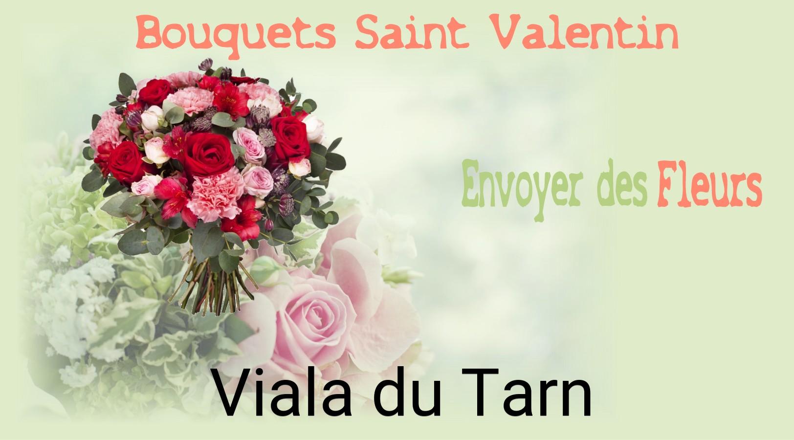 Roses de Saint-Valentin livrées à Viala-du-Tarn