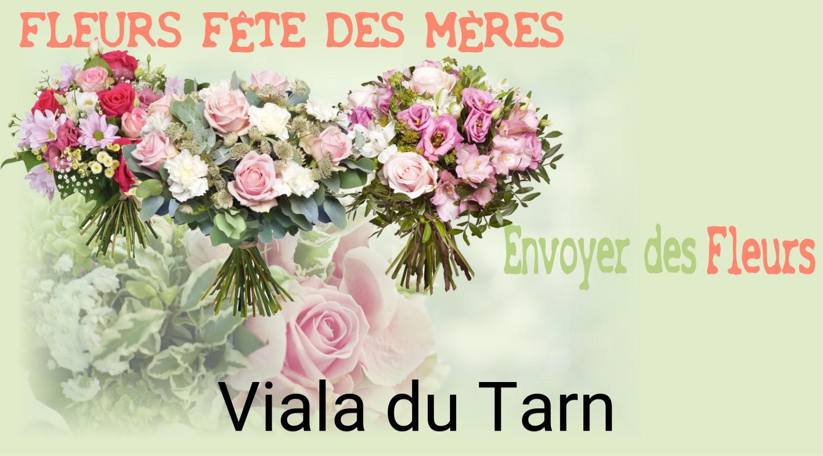 Bouquet de Fête des Mères livré à Viala-du-Tarn